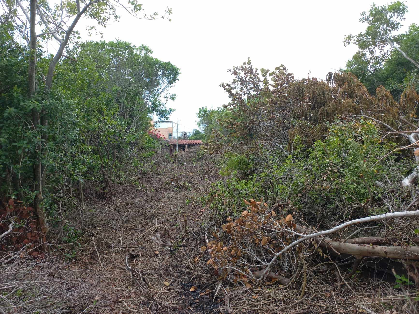 LandPlot for sale in Chelem Mexico, price 112,235 USD