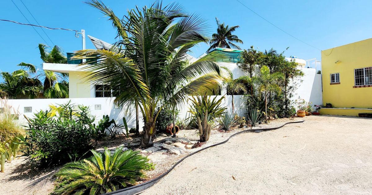 Practical Features That Make a Difference